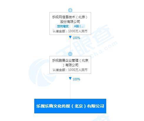 樂視成立新公司樂嗨 最終受益人為賈躍亭