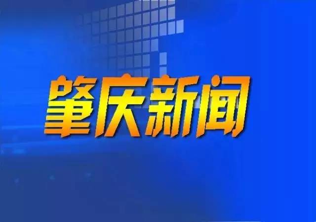 全肇慶人,這才是迅速接收市委市政府聲音的正確姿勢